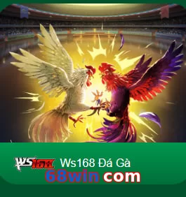 68win com